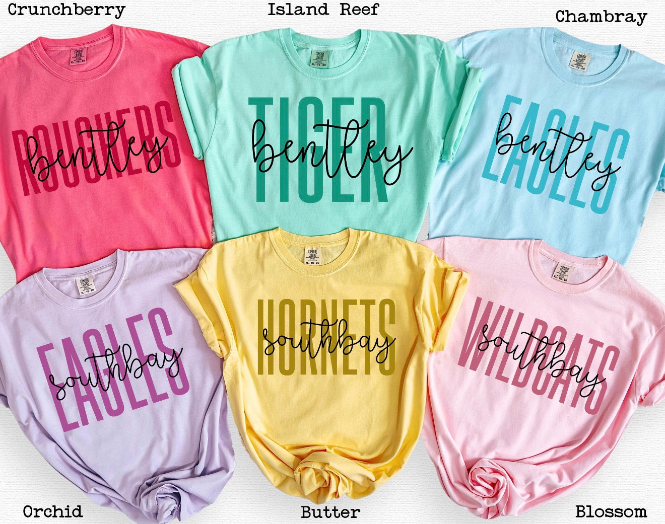 **custom** Colorful Block Mascot Tee